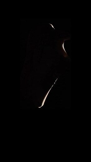 The highest stack running shoe EVER 👀 With 55mm stack height the Vomero Premium will be the highest stack running shoe on the market when it releases in October this year 🤯 These look crazy - would you want to run in them? 👟 You can read more about the whole release on our website. | The Running Channel