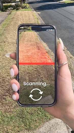 Your personal plant care expert Identify plants & diseases  Get full plant information and customised care schedule ⏳ Cure your plant in easy steps 彩 | PlantIn: AI Plant Identifier | Facebook
