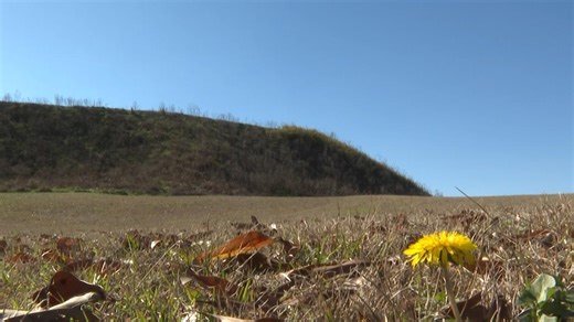 Ocmulgee Mounds National Historical Park expects to become Georgia's first national park and preserve