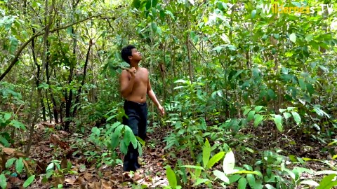 How We Built a Hidden Crocodile Pond Underground in the Jungle