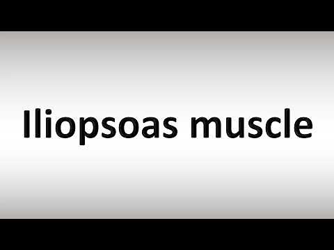 How to Pronounce Iliopsoas muscle