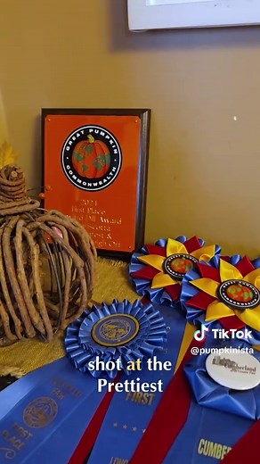 Seabiscuit Attacked by Giant Pumpkin | Garden Rescue & Pumpkin Care