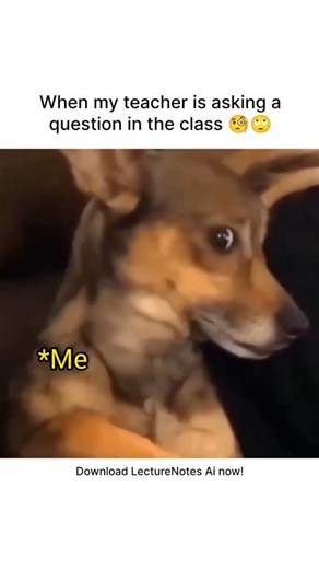 LectureNotes AI on Instagram: "Download LectureNotes Ai and stop stressing over random class questions. Because while you’re busy avoiding eye contact, your notes are already on point. 📚😂 #lecturenotesai #ainotetaking #studysmart #studentlife #studymemes #studentstruggles #viralreels #reach #explore #effortlesslearning #mit"