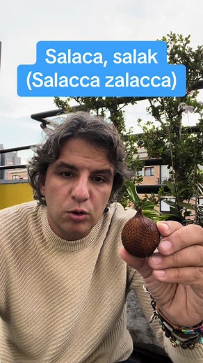 #salaca #salak #salaccazalacca #frutascolombianas