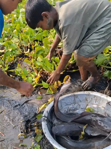 Ultimate Fishing Experience: Tips and Techniques