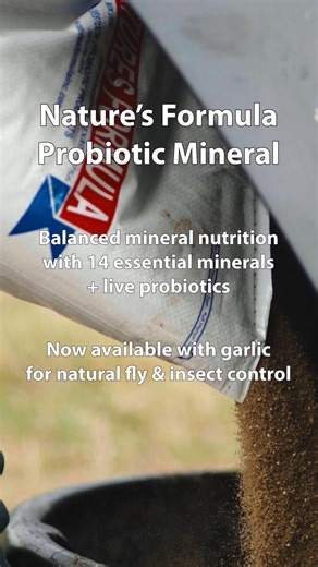 Natures Formula on Instagram: "Minerals matter more than most people realize. 🐂 Nature’s Formula Probiotic Mineral delivers a balanced blend of 14 essential minerals plus live probiotics to support immunity, reproduction, and overall cattle performance — now also available with garlic for natural fly control. Feed smarter. Support healthier cattle. #NaturesFormula #ProbioticMineral #BeefCattle #CattleNutrition #RanchLife #CattleProducers #StockerCattle #CowCalf #LivestockHealth #AgLife #Ranchin
