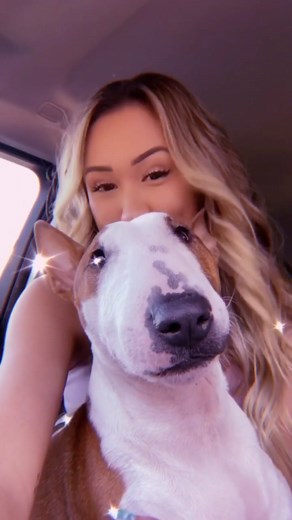 Moose's First In-N-Out Puppy Patty Experience