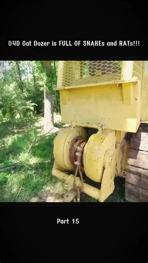D4D Cat Dozer: Overrun by Snakes and Rats