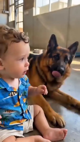 The Baby Started Crying… Then the Dog Did Something No One Expected ❤️
