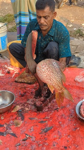 Wow Big Carp Fish Cutting Skills #fishcooking #fishmarket #shorts