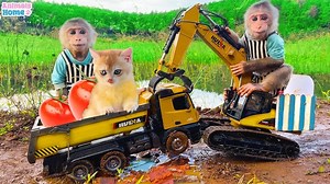 81K views · 2.8K reactions | Smart Obi driver drives truck through swamp | Julius Monkeys | Facebook