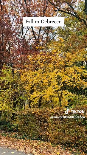 Fall in Debrecen: Discover Your Study Abroad Experience