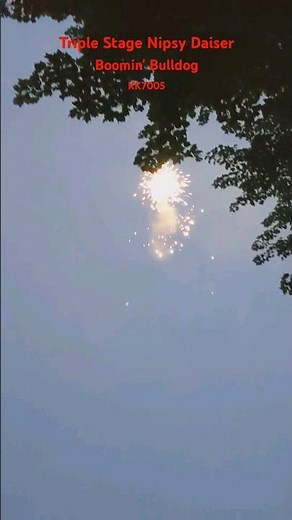 Triple Stage Nipsy Daiser Firework / Boomin' Bulldog