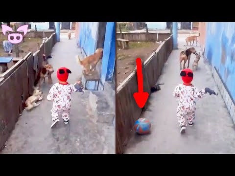 These Unexplained Videos Will Blow Your Mind!