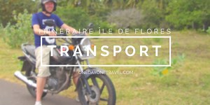 Flores en Indonésie : comment accéder et circuler sur l'île ?