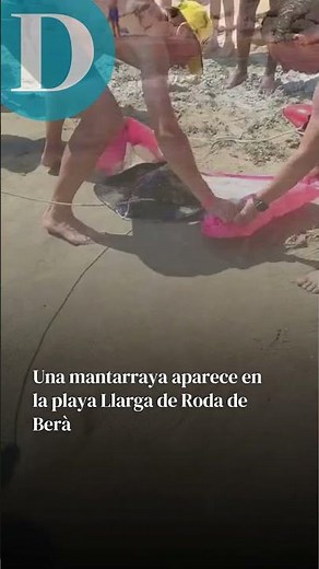Mantarraya en la playa de Roda de Berà