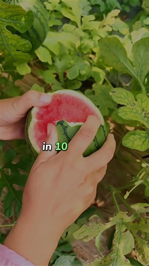 32K views · 2K reactions | Affirm Yes ❤️ . . . . . . . . #affirmation #affirmations #affirmationoftheday #wealthcreation #attractmoney #lawofattractionmoney #lawofattraction #buddha #sprituality #awakening #usa #newyork #losangeles | Law of attraction | Facebook