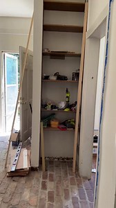 1.1M views · 23K reactions | I found these windows at an antique shop & knew they’d be perfect to reuse as pantry doors! it turns out they were fro #wildlife #nature #wildlifephotography #naturephotography #birds #photography #animals #bird #naturelovers #wild #animal #birdsofinstagram #photooftheday #birdphotography #travel #love | Mell Casey | Facebook