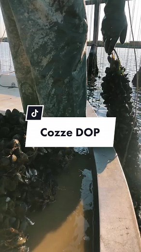 Mussel Fishing Techniques: A Fisherman's Guide