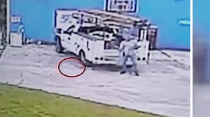 4.6K views · 42 reactions | WHEN SQUIRREL'S ATTACK - An aggressive squirrel has continuously terrorized a Florida neighborhood, causing residents to act in an extreme abundance of caution. One of its recent attacks was caught on camera #SquirrelAttack #FloridaMan Read more: https://cbsloc.al/2JqmM41 | CBS Miami | Facebook