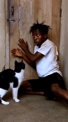 Cat, close the door quickly🫢#cat #dog #shorts