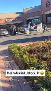 Hope the horses are ok and that’s it | Dylan Stevens