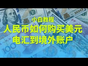 How to wire domestic dollars to foreign banks, white cross-border remittance tutorials