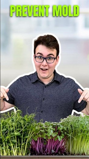 Prevent Mold: Gardening with 2-Tier Grow Trays!