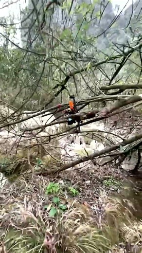 FPV Drone Crash Recovery | Found It After Mountain Fall!