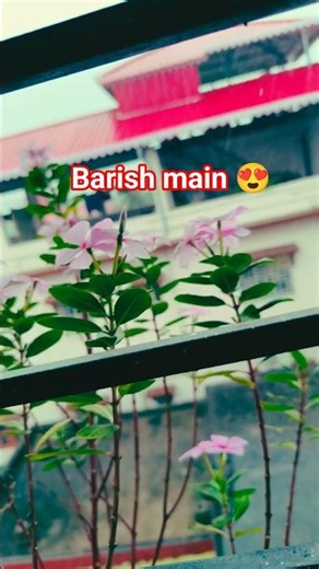 Rainy Spring Ambience 🌸🌧️ | Relaxing Rain Sounds & Nature Vibes | Peaceful Shorts #shorts