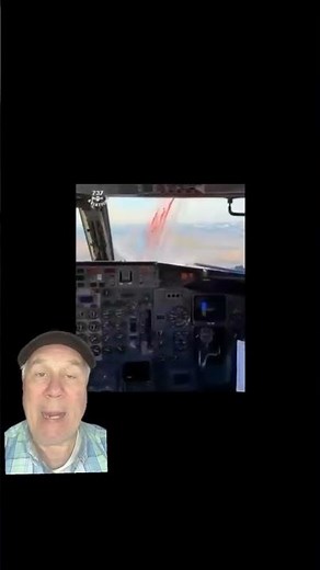 Birdstrikes… Testing and Actual!