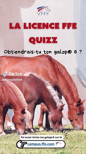 Quizz Galop®6 : Testez vos connaissances équines !