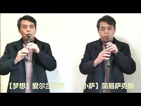 "Edelweiss" LittleSax & Tin Whistle - (HiXing Irish Whistle) vs (Mini Sax/Xaphoon/Pocket Saxophone)