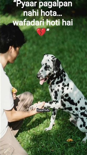 Loyalty Like This Hurts | Dog Emotional Story