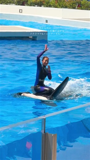須磨シーワールドでの感動的なオルカパフォーマンス
