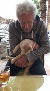 14K views · 573 reactions | As you can Hank is very excited for today’s IGTV + Facebook LIVE at 1pm PT (4pm ET). I will be revealing the March SUZANNE Selects Box and making homemade sauerkraut! #adventuresofHANK | Suzanne Somers | Facebook