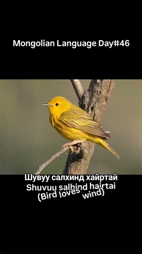 Mongolian Language Day#46