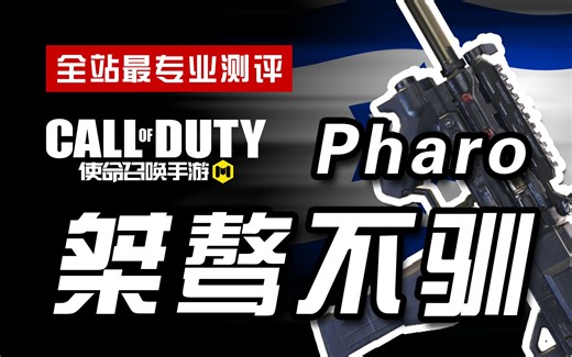 【CODM】枪械测评：Pharo——桀骜不驯