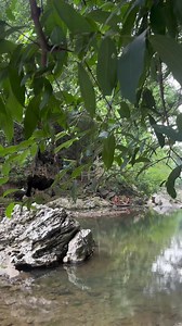 📍Biak-na-Bato National Park San Miguel Bulacan Like and follow for more videos 🫶 #nature #caves #naturelover #BiakNaBato | Enoy TV
