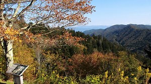 GSMNP: Temporary closures on Spur and Roaring Fork Motor Natur Trail