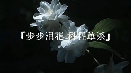 『sub』步步泪花，科科单杀