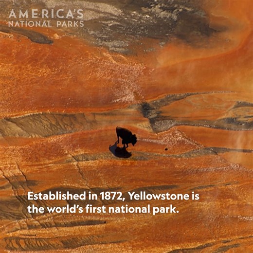 207K views · 6.3K reactions | Yellowstone is the world’s first national park—how well do you know its history? For thousands of years, Yellowstone was a place where Native Americans would hunt, fish, and forage. Today, 27 Native American tribes are closely involved in resource management and decision-making of the park. #AmericasNationalParks is now streaming on Disney+ and Hulu. Stream the #ourHOME collection all month long. | National Geographic Travel | Facebook