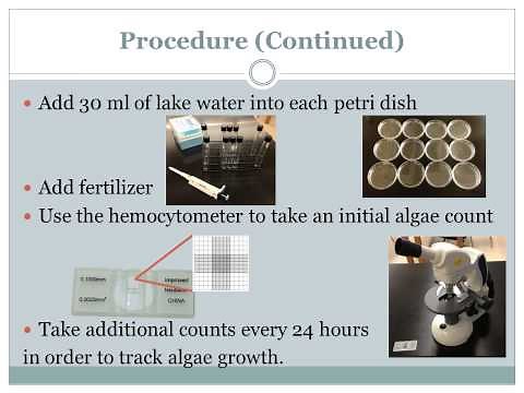 The Effect of the Fertilizer Agents Phosphorus and Nitrogen on Algal Growth and Blooms