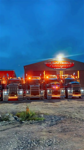 Heavy Hauling Transporter in New Zealand