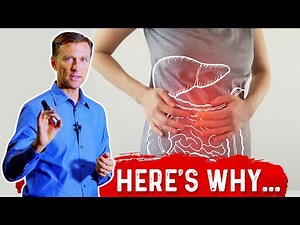 How do Probiotics Work for Fatty Liver Disease? – Dr. Berg