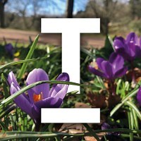 Torbay Council | LinkedIn