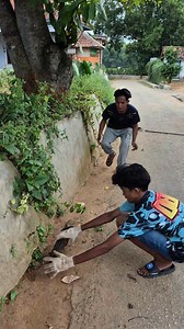 Almost failed to catch wild animals | Zulfan Abymanyu