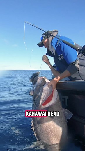 Essential Tips for Rigging Baits for Deep Drops