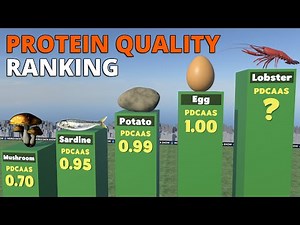 Top Foods by PDCAAS Score | Bioavailability and Protein Quality