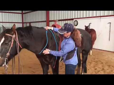 Riding Bridleless with a Neck Rope